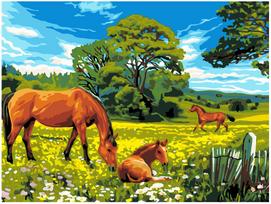 Piešimo rinkinys Laisvalaikis 30x40