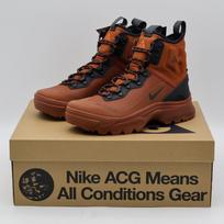 DD2858-203 Nike ACG Air Zoom Gaiadome GORE-TEX Cinnamon Mars Stone (Men's) 7 black