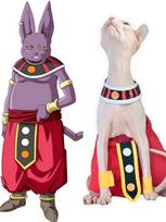 Rankų darbo Sfinkso Cosplay Kostiumai Beplaukių Kačių Drabužiai Sunaikinimo Dievo Klyną Saugantys Kelnės Dropshipping Kačių Drabužiai 3-5 months raudona