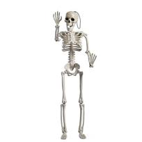 Anatomy Skeleton Model Medical Learning Skeleton Art Layout Props For Halloween Party Decoration 40cm gray