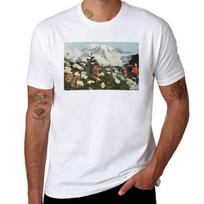Their Satanic Majesties Second Request Tshirt Sport Basic Moisture Wicking Tee 2XL gray
