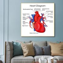 Žmogaus organai Smegenys Kepenys Širdis Anatomijos Plakatas Spaudinys Drobės Tapyba Žmogaus Kūno Žemėlapis Medicininė Klasė Biuro Kambarys Namų Dekoracija 50x50cm