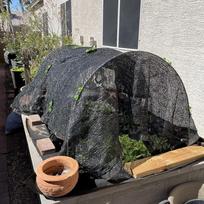 Garden Tunnel Greenhouse Protection from Heat 300 Cmx45 cm Plant Cover Hoops for Patio gray