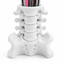 Sturdy Base Human Spine Pen Holder 3D Printed Pencil Cup Holder Pencil Organizer  Gift Giving balta
