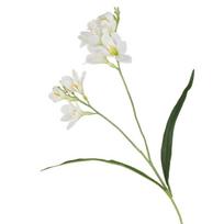 2 Šakutės Dirbtinės Frezijos Gėlės Realistiškos Tikro Lietimo Dirbtinės Orchidėjų Šakos Rankų Darbo Dirbtinės Gėlės Vestuvių Puošyba balta