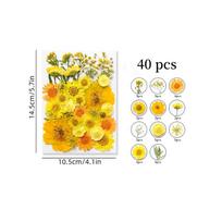 Real Dried Pressed Flowers, Assorted Real Natural Bulk Dry Floral Leaves, Dried Floral Natural Herbs Kit For Crafts Decoration DIY Soap Candles Making B