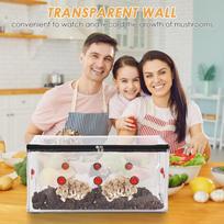 Mushroom Grow Tent Kit Foldable Small Greenhouse Transparent Mushroom Growing Bag for Indoor beige