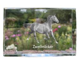 Zweibrücker - kristalas su arklio paveikslėliu, nuotrauka stikle, moderni Art-Dog prekės ženklo nuotraukų paroda skaidri