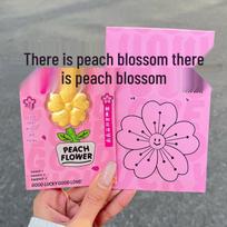 999 Pure Gold Water Shell Peach Blossom Money Flower Envelope Cartoon Gift Set for Girlfriend or Best Friend pink