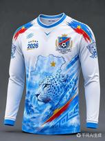 2026 DR Congo Leopard Map Full 3D Print Long Sleeve Football Jersey, Quick Dry Casual Training Tops for Men Women M