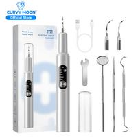 Dog Plaque Tartar Remover for Teeth Cleaning Kit Electric Toothbrush with LED Light 5 Adjustable Modes Safe Dog Dental Care Tool T11 sliver