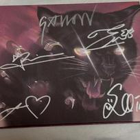 MEOVV Pasirašytas albumas BITE NOW Autografuotas albumas Neparduodamas
