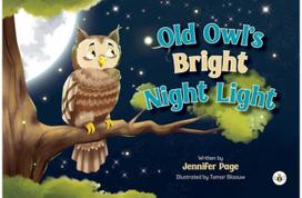 Old Owls Bright Night Light