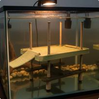 Turtle Ramp Dock with Ladder Buoyant Large Size Aquarium Basking gray