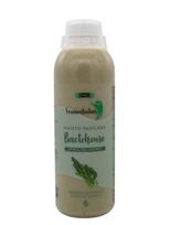 MĖMELIO FERMENTUOTAS Bactohouse spirulinos skonio, 1 L