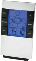 ZG4 Elektroninis termometras namams
