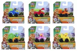 Spin Master Paw Patrol dino filmas mini transporto priemonės mix W6 (6076062)