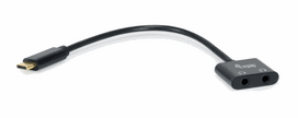 Equip USB-C to 2x3-Pin 3.5mm Adapter St/Bu DAC 0.15m black