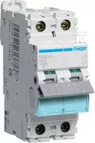 Hager MCB automatinis jungiklis ICN=10000A/ICU=15KA 2P C 4A