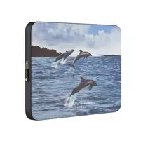 Retro Splash - Laptop Sleeve, 13 inches