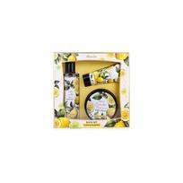 Accentra Lemon & Bergamot Essential Botanical Set
