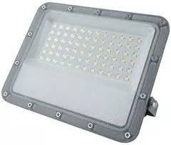 Šviestuvas Ecolight LED prožektorius premium NL-4 50W 7500lm 4000K pilkas IP65 (EC61798)