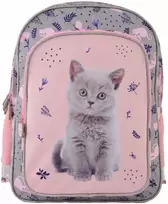 Mokyklinė kuprinė Paso Cat, PP24CT-090