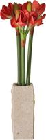 Botane Dirbtinių gėlių puokštė Orange Amaryllis