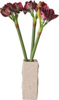 Botane Dirbtinių gėlių puokštė Burgundy Amaryllis