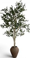 Botane Dirbtinis medis Botane beržas 300 cm