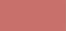Essie Nail polish (Nail Polish) 13.5 ml - 20 Barn Boheme