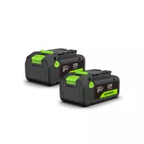 Dviejų akumuliatorių komplektas HP USB-C 24V 2X4.0Ah K2D8NNAA1 21700, GREENWORKS