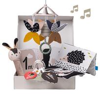 Lavinamųjų žaislų rinkinys Taf Toys Newborn Black & White