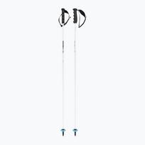 Slidžių lazdos HEAD Worldcup Rebels Carbon white