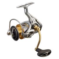 Daiwa 21 Freems LT3000-XH gray