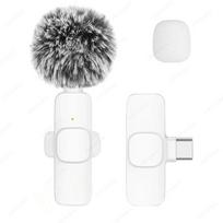 Portable Microphone Wireless New Lavalier Audio Video Recording Mini Microphone For Iphone Android Pc Camera Live Gaming Phone Matches the image,White 1in1 Type-C