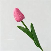 5-30Pcs Premium Tulip Artificial Flowers, Real Touch Tulip Bouquet, Decorative for Wedding Home Party Christmas Candy Birthday (as the picture,10pcs)