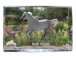 Barb Horse - crystal with a picture of a horse, photo in glass, modern exhibition of Art-Dog brand photo skaidri