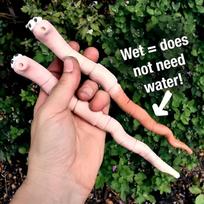 2PCS Cute Worm Soil Moisture Indicator Resin Water Sensor For Potted Plants Decor 2pcs white