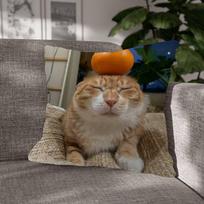 Funny Cat Meme Cushion Cover Decorative Pillow Sofa Home Decor Case Pillow Cases 30cmx30cm(12x12Inch) black