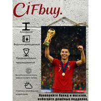 Cristiano Ronaldo Portugal Metal Wall Sign 20x30 cm Room Decor gray