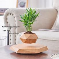 Magnetic Levitation Potted Plant Bonsai Creative Gift for Teacher's Day or Living Room Ornament Hexagonal Planter Black gray