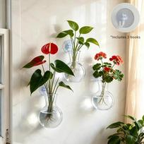 3PCS Plastic Wall Mounted Flower Pot Semi Circular Plant Propagation Jar  Living Room skaidri