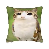 Meowl Meminis Katės Kvadratinės Pagalvės Užvalkalai Poliesteris Svetainė Smegenų Puvinio Pagalvės Užvalkalas Kūrybiška Dekoro Mėtoma Pagalvė 40*40 16x16Inch