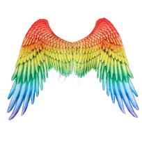 Sodrūs juodi ir balti didelio dydžio angelo sparnų aprangos aksesuarai, puikiai tinkantys Helovynui ir Mardi Gras Rainbow yellow