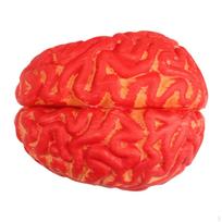 Halloween Horror Prop Decoration Fake Bloody Brain Trick Haunted House Vinyl Scary Holiday red