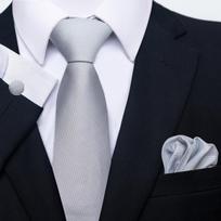 Vyriškas verslo profesionalų dryžuotas kaklaraištis vestuvinio kostiumo aksesuarai poliesterio kaklaraištis vyrams One Size balta