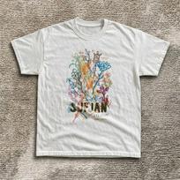 Sufjan Stevens Vintage Graphic Tee Unisex Cotton Music Gift L gray