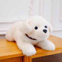 Dog Shiba Inu Doll Cute Puppy Plush Toy Husky Doll Animal Children Dog Soothing 40cm balta