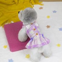 Dog pet clothes Teddy Schnauzer Pomeranian small dogs and cats spring and summer suspender skirt 25 plaid bow M